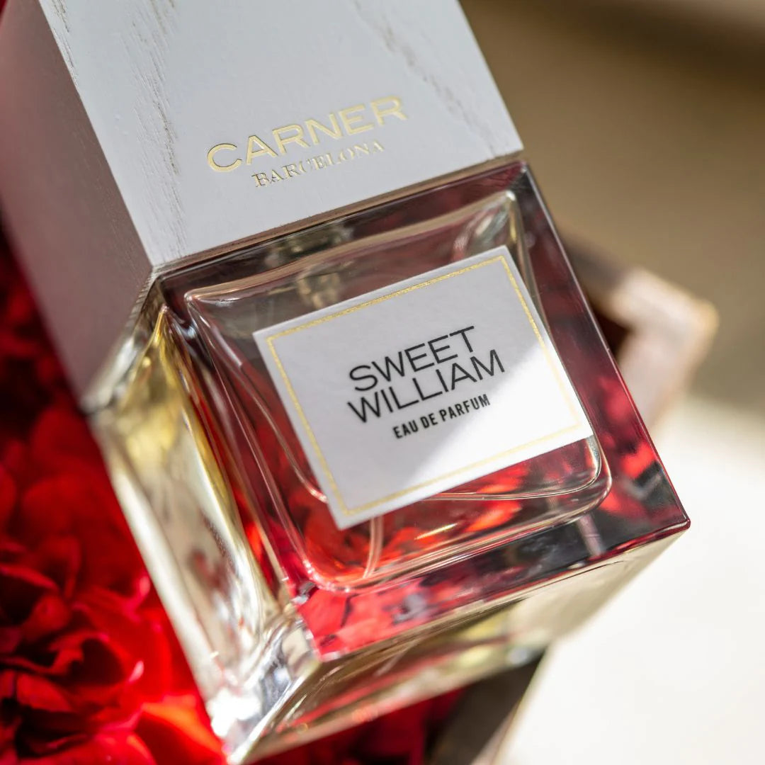 Carner Barcelona Sweet William EDP