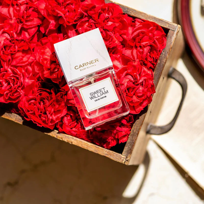 Carner Barcelona Sweet William EDP