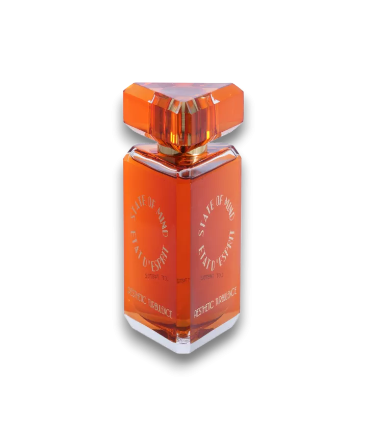 Aesthetic Turbulence Eau de Parfum Spray 100 ml