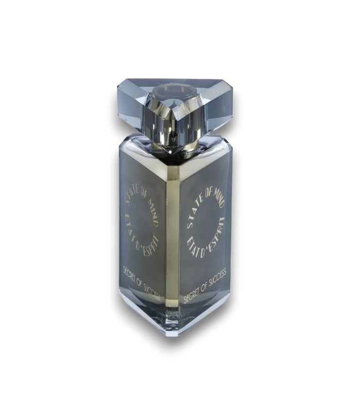 Secret of Success Eau de Parfum Spray 100 ml