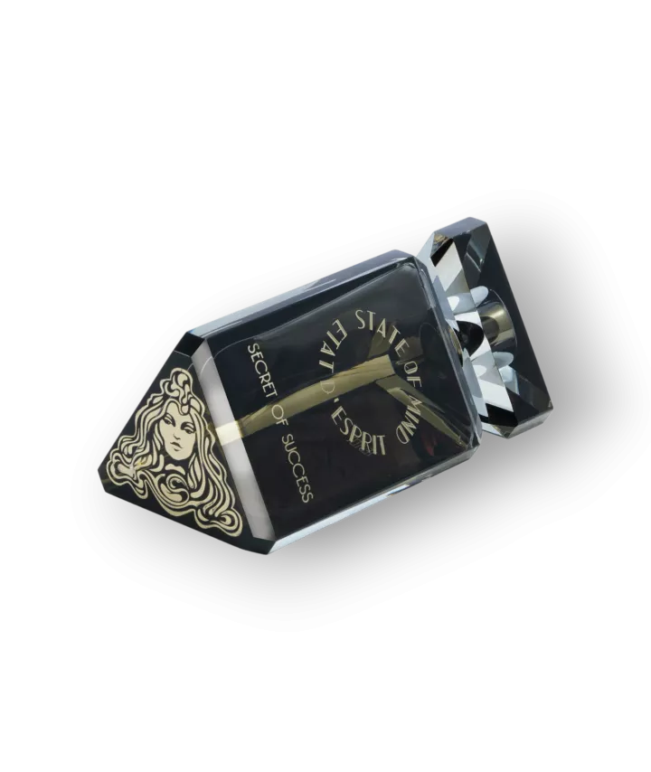 Secret of Success Eau de Parfum Spray 100 ml